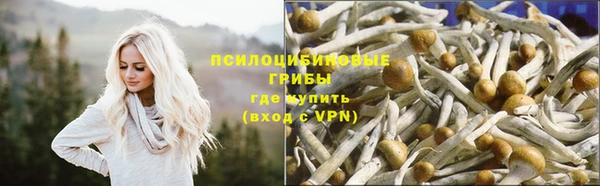 ешки Кинешма