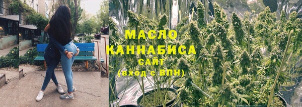 индика Киренск